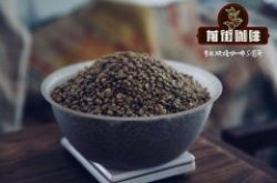 巴布亚新几内亚Sigri AA咖啡风味如何？被称作小蓝山的它有什么特别