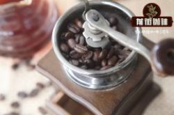 哥伦比亚圣图阿里欧庄园红波旁水洗咖啡豆是爱情灵药还是毒药？