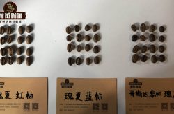 巴拿马翡翠庄园瑰夏咖啡等级 蓝标绿标红标瑰夏咖啡风味口感特点