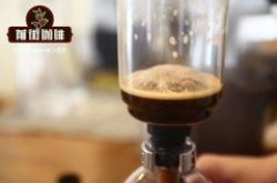 普洱咖啡庄园行：卡蒂姆豆种、有机种植与普洱咖啡价格探秘