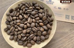 埃塞俄比亚古吉罕贝拉轻度烘焙精品咖啡花魁5.0适合什么手法冲煮