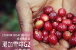 耶加雪菲为什么被称为埃塞俄比亚精品咖啡的代名词？