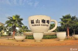 中国咖啡市场 惬意的福山咖啡之旅