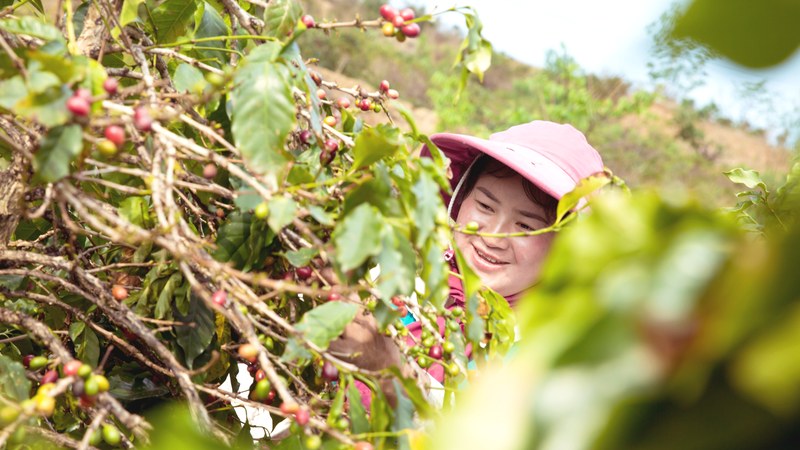 降温早晨窝在沙发闻着坚果可可香，把开封后的醇厚豆香稳稳留住