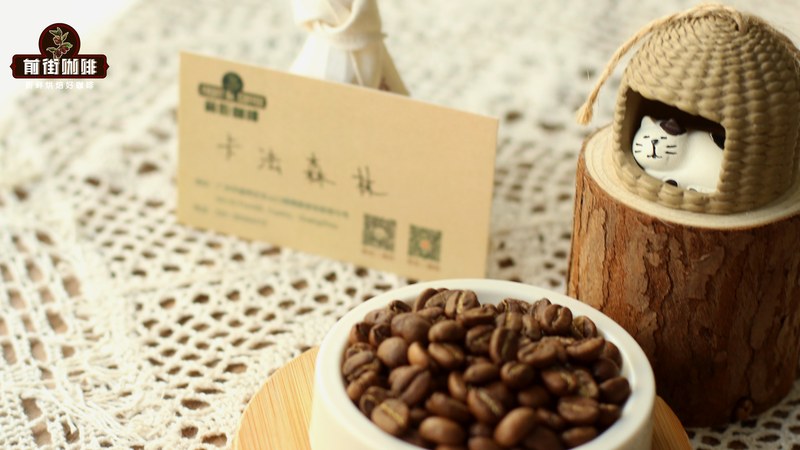 从多巴湖畔聊到老派黑巧甜，这杯浓郁扎实的手冲曼特宁真让人着迷