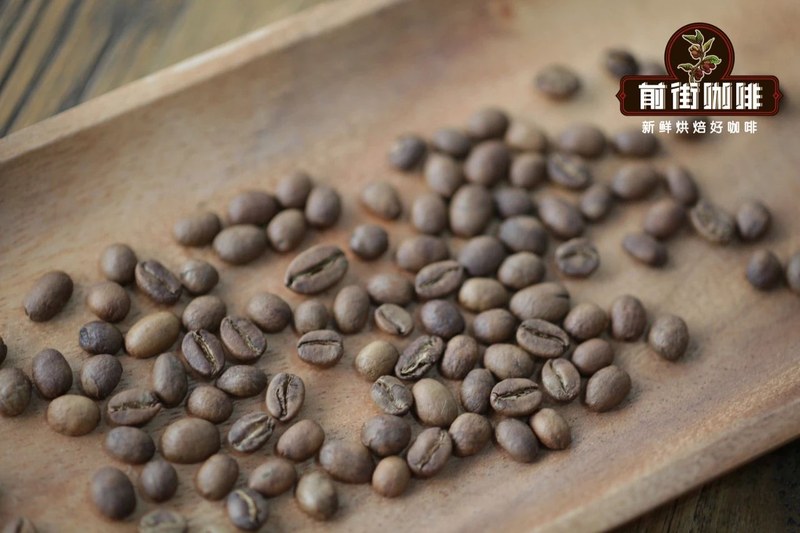 豆袋上的茉莉花与柑橘怎么找？看懂风味密码轻松选出心仪瑰夏