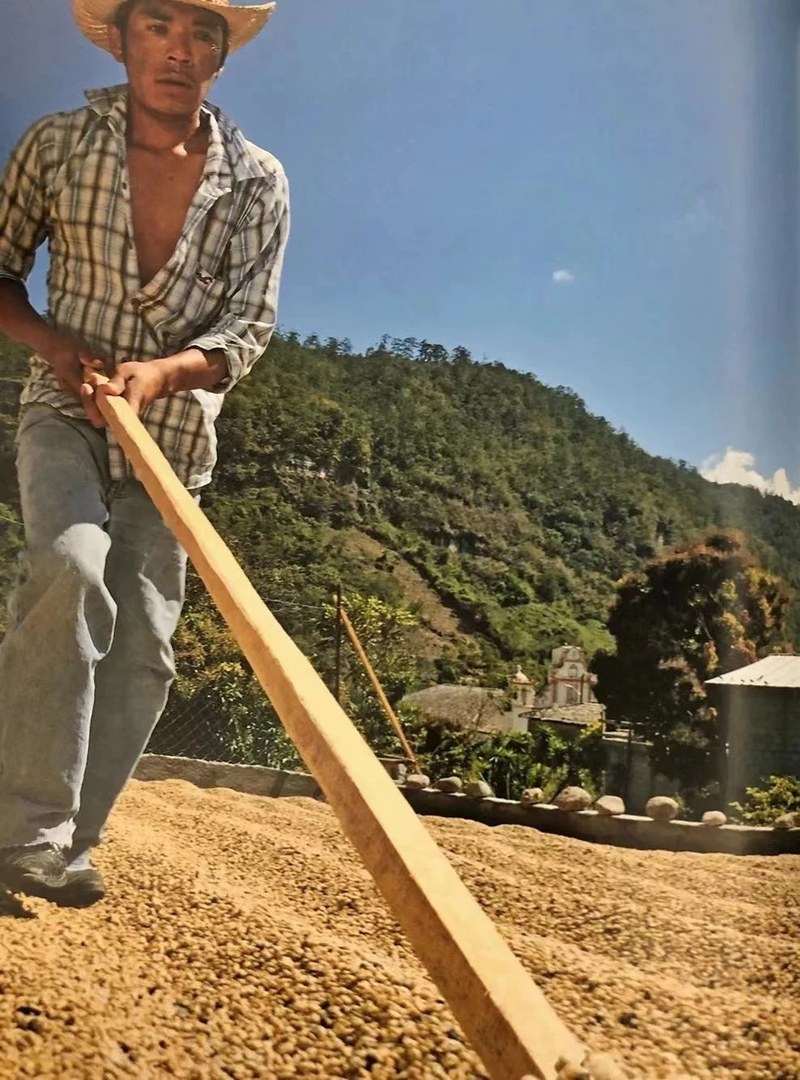 看着豆袋上的黑巧克力与焦糖咽口水？教你读懂风味标签选对曼特宁