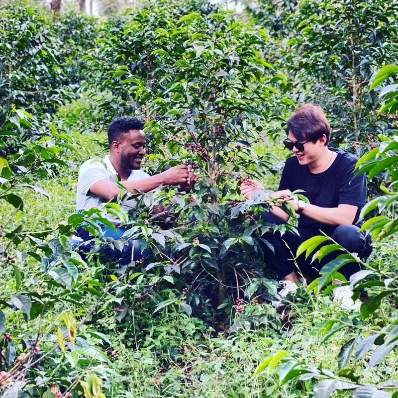 袋上标的柑橘草莓怎么喝出来？教你读懂标签挑出心仪的美式豆