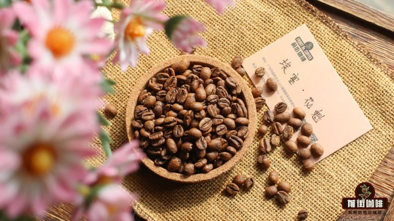 苏门答腊丛林与南美老庄园：摩卡壶里的百年风土与平价香气
