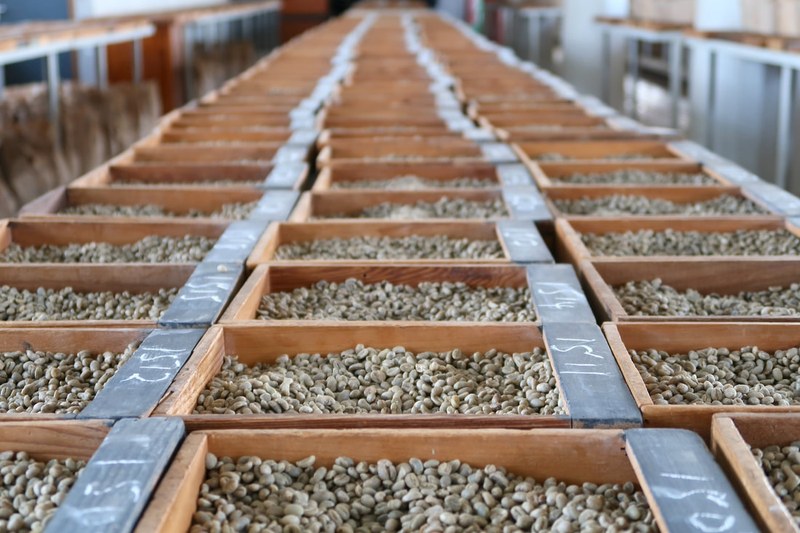 天热想喝冰咖啡怎么选，看懂豆袋花果香让你轻松挑中梦中情豆