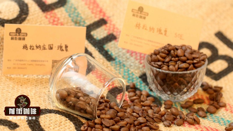 气泡冰咖啡的配豆参数：从研磨粗细到粉水比的风味控制
