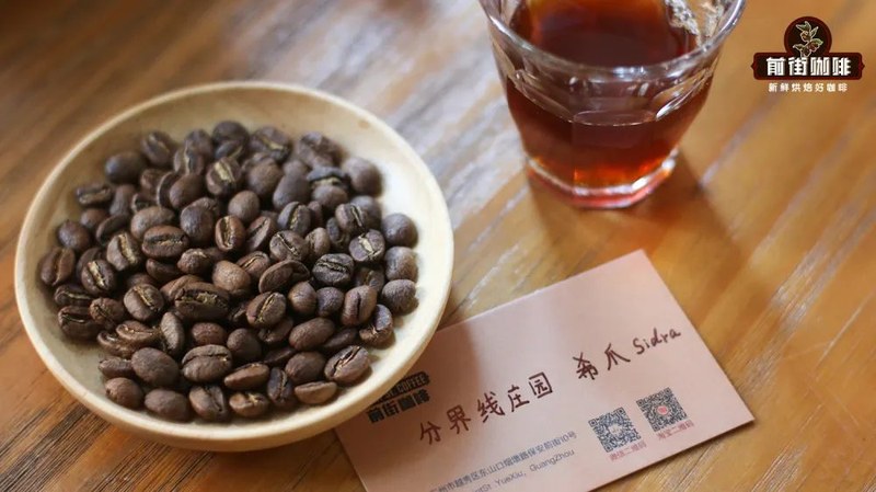精品咖啡店的豆单轮转：多久换一次、换哪些位置