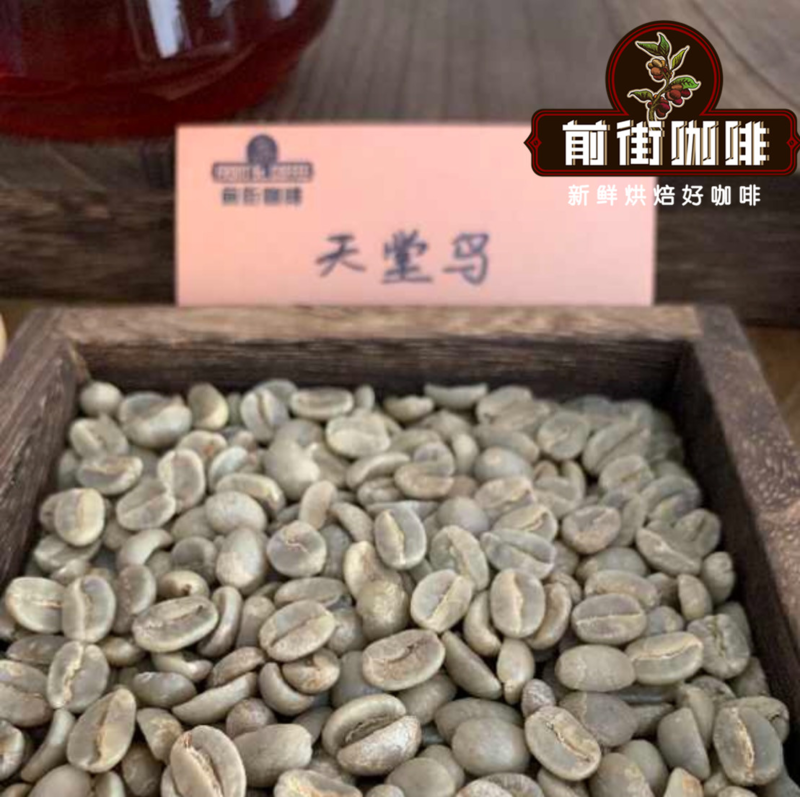 新手口粮咖啡这样挑：容错高、风味稳、天天喝得住