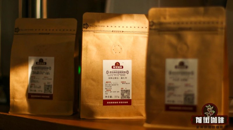 初学选豆路线图：从完全不懂到找到本命豆，这张风味地图带你慢慢喝明白