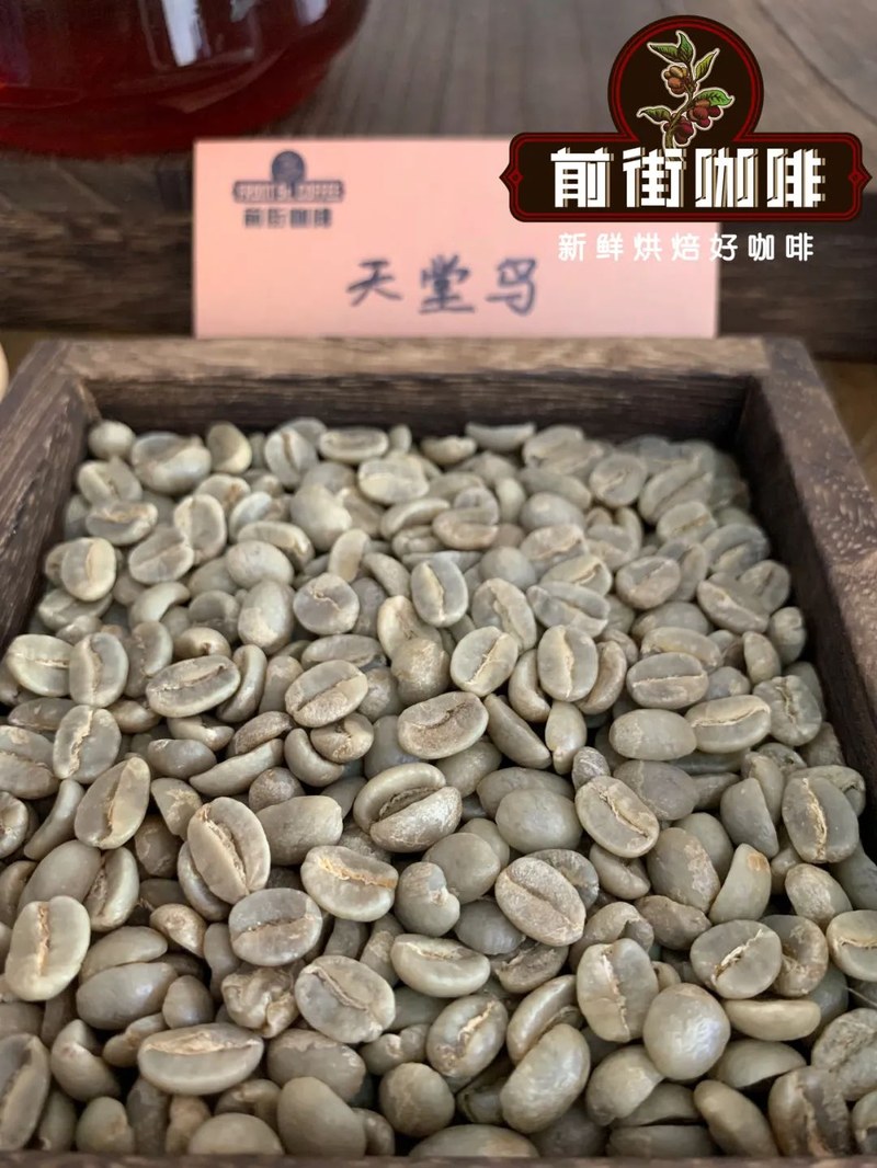新手家用咖啡选微酸款，像剥开柑橘时那股清亮劲儿