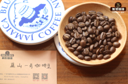 印尼曼特宁咖啡豆和蓝山豆品种有什么区别 黄金曼特宁手冲咖啡风味口感特点