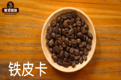 三大咖啡种类阿拉比卡咖啡豆品种外形特征 铁皮卡波旁瑰夏特点