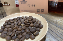 瓜地马拉安堤瓜产区Bella Carmona庄园的花神咖啡品种风味特点