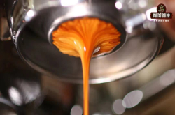 如何正确喝意式浓缩咖啡？Espresso完全饮用步骤品鉴指南