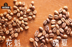 花魁和瑰夏是同种咖啡吗 花魁咖啡的名称由来故事
