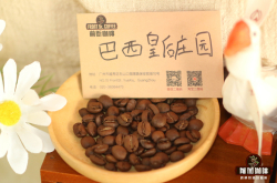 巴西稀少咖啡品种yellow bourbon介绍｜中度烘焙黄波旁咖啡口味喝法介绍