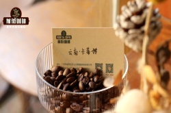 云南咖啡铁皮卡品牌推荐 云南小粒咖啡豆手冲咖啡风味口感特点描述