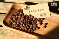 巴西咖啡品种种类分级特点介绍 好喝浓郁的巴西咖啡豆推荐