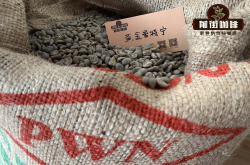 曼特宁名字怎么来的？黄金曼特宁是啥？苏门答腊顶级豆揭秘