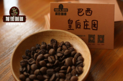 新手摩卡壶，一杯淡中浓怎么配豆