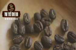 SL-34咖啡品种是什么风味？有什么优势和特色？