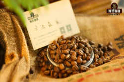 埃塞咖啡和瑰夏咖啡哪个好喝？原始森林水洗浅烘焙咖啡豆口味喝法