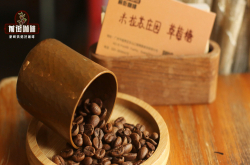 哥斯达黎加咖啡风味介绍