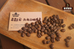 埃塞俄比亚瑰夏咖啡豆 埃塞俄比亚瑰夏和巴拿马瑰夏有什么区别