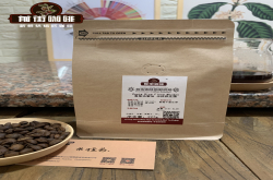 哥斯达黎加咖啡收获季是什么时候？精品咖啡米拉苏的风味特点