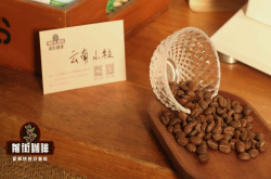 醇香浓郁的云南小粒咖啡风味描述处理法品质特点口感介绍