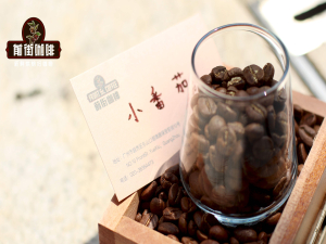 肯尼亚咖啡豆介绍 肯尼亚咖啡豆品种咖啡豆特点莓果风味冲煮