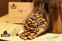 伯爵茶感，焦糖西达摩夏奇索咖啡风味、特色、口感及庄园介绍