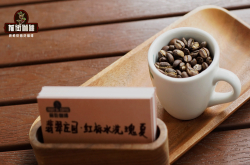 瑰夏黑咖啡风味有哪些特征？中美洲巴拿马咖啡豆为什么出名价格昂贵？