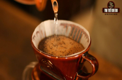 手冲咖啡滤杯Hario V60与Kalita Wave的区别与各自的冲煮特点