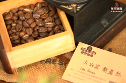 巴拿马翡翠庄园瑰夏蓝标水洗精品咖啡豆的手冲参数建议