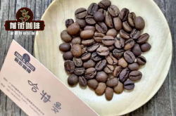 酒香日晒处理法究竟是怎样的？处理步骤类似于日晒的处理法