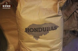 洪都拉斯精品咖啡产区讲解 洪都拉斯哪款咖啡豆最受欢迎？