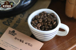 耶加雪菲产区Kochere科洽雷/柯契尔/科契尔咖啡产区故事风味特征