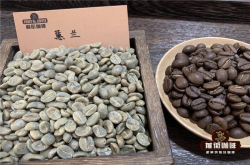 摩卡壶买豆节奏：小包装试出长期搭配
