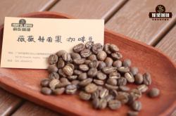 危地马拉咖啡豆SHB和HB有什么区别？海拔分级一次讲清