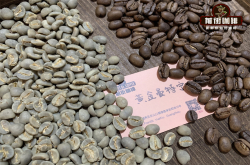 曼特宁的名字由来是产地还是品种 印尼黄金曼特宁咖啡豆产区风味介绍