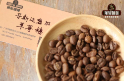 哥斯达黎加的三大咖啡品牌是什么 精品咖啡塔拉珠是黑咖啡吗