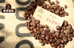 黄金曼特宁豆口感香味 印尼PWN黄金曼特宁咖啡种类和价格