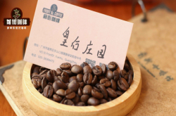 摩卡壶是什么咖啡器具？哪些摩卡壶咖啡豆味道不酸品种推荐