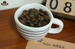 肯尼亚咖啡豆品质特点 肯尼亚咖啡手冲教程步骤风味
